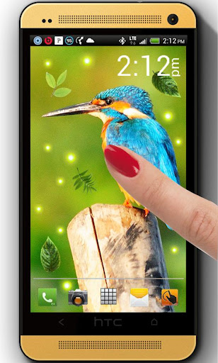 Jungles Birds live wallpaper