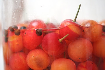 Pickled Sour Cherries