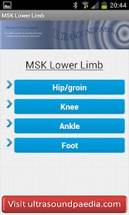 MSK ultrasound Lower Limb