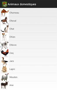 download Animaux domestiques free