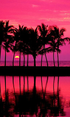 美しいハワイの壁紙 Androidアプリ Applion