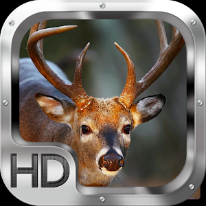 Whitetail Deer Adventure 動作 App LOGO-APP開箱王
