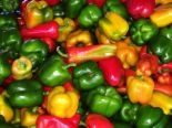 [peppers[2].jpg]