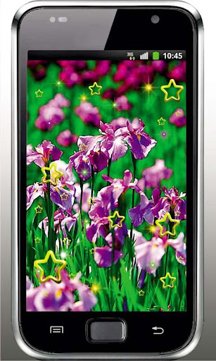 Iris Gallery live wallpaper