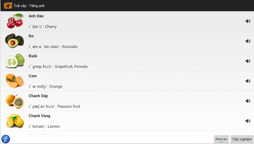 【免費教育App】Tiếng Anh: Trái cây-APP點子