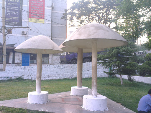 蘑菇厅