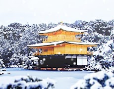雪降る金閣寺 ライブ壁紙 Androidアプリ Applion