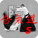 Aikido Fifth Kyu (Free) logo