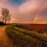 field by Eseker RI -  