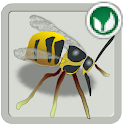 Wasps logo