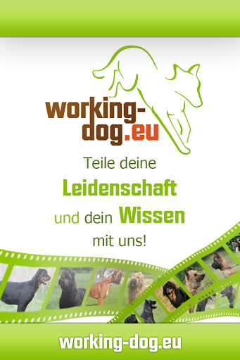 working-dog