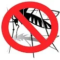 Mosquito Repellent icon