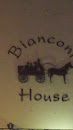 Bianconi House Wall Art Parnell Street Clonmel Co Tipperary