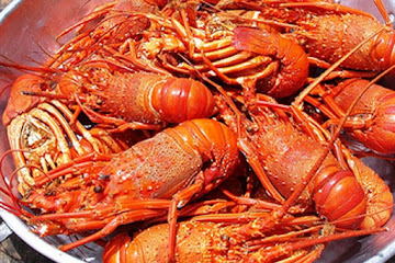 Lagosta Suada - Portugal - Lobster in Tomato and wine sauce
