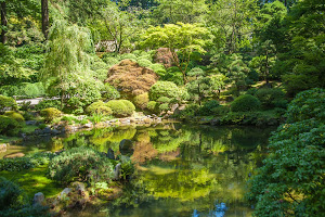 The upper pool at the Japanese Garden in Portland, Oregon.