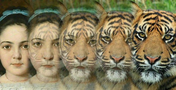 Free Zooface - GIF Animal Morph APK