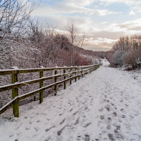 Snowy path by Harry Rutland - Landscapes Weather