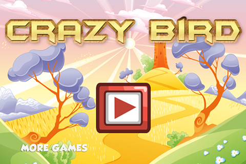 Crazy Bird Fly