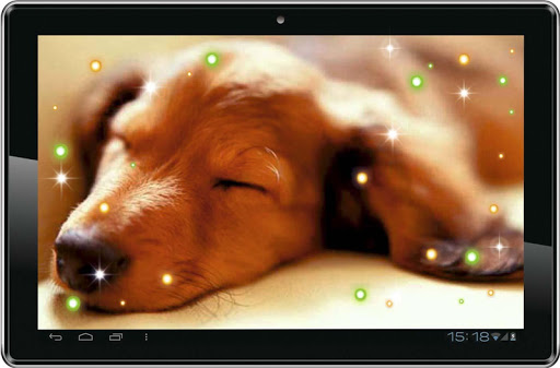 【免費個人化App】Pet Dogs HQ live wallpaper-APP點子