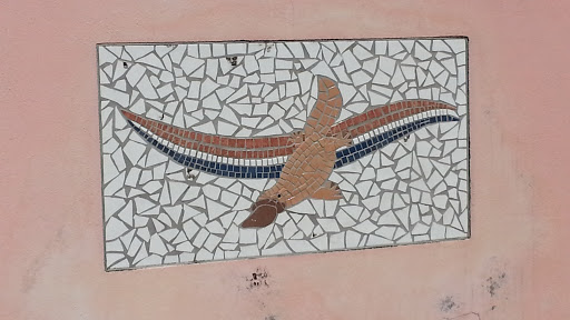 Platypus Mosaic