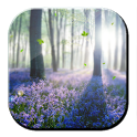 Forest Lavender Free LWP icon