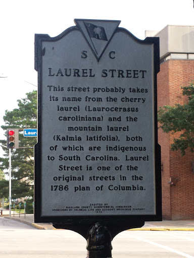 Laurel Street