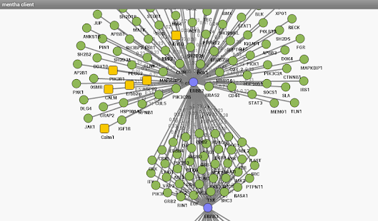   mentha the interactome browser- screenshot thumbnail   