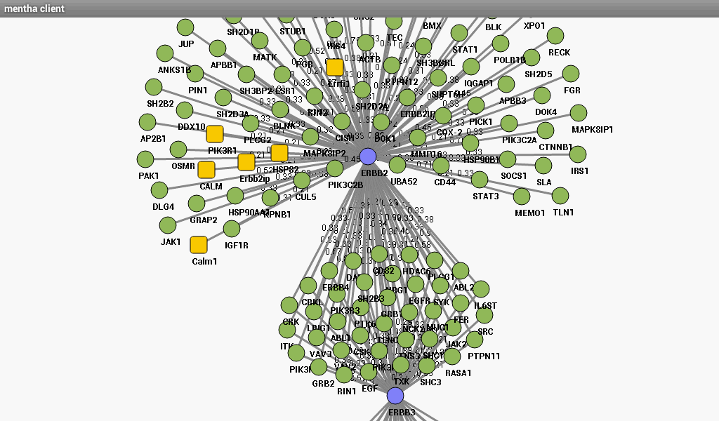    mentha the interactome browser- screenshot  