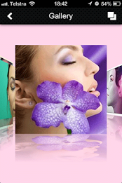 Glamour Puss Beauty Salon poster 15