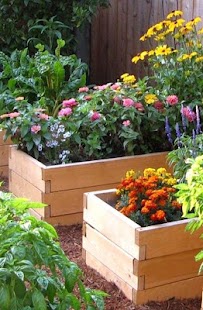 DIY Gardening Tips - Android Apps on Google Play
