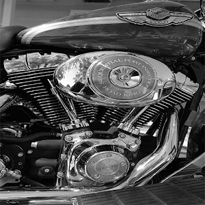 History of Harley Davidson logo