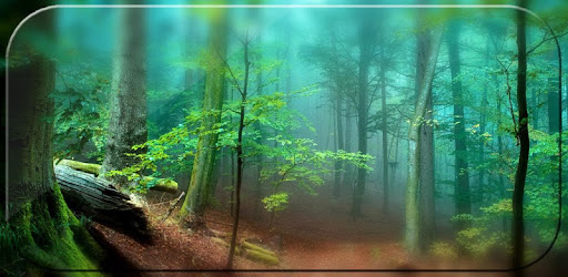 Forest Live Wallpaper 3D 1.0.5