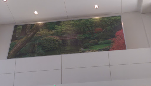Japanese Garden Mural