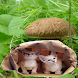 Kitty Sack Live Wallpaper
