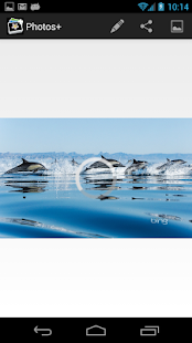 Aviary Editor for Facebook Screenshots 4