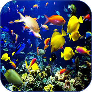 How to get Sea Life Video Wallpapers 1.1 apk for android