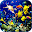 Sea Life Video Wallpapers Download on Windows