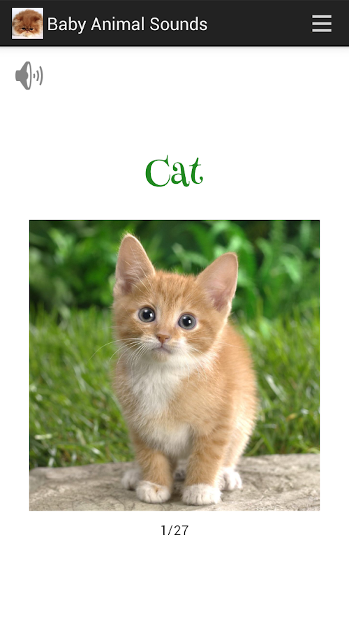 Android application Animal Sounds for Baby screenshort