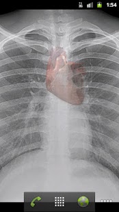 Free Download Life - Live Wallpaper APK for PC