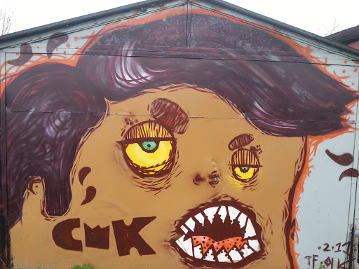 Olkusz Ugly Face Mural