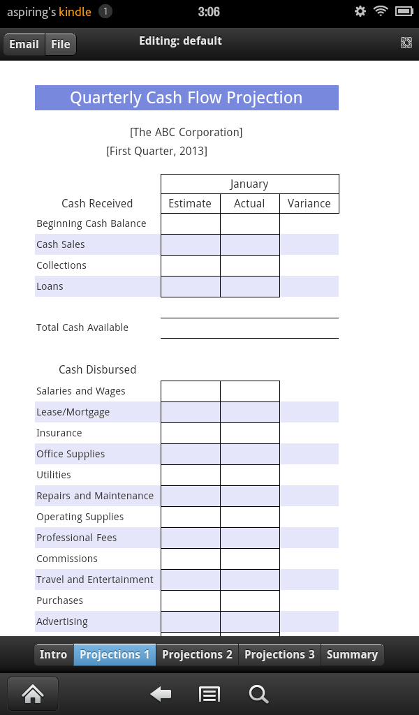 Cash Flow Projection Screen 1