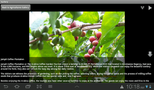 Travel to East Java Screenshots 5