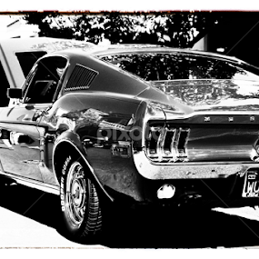 Stang by Brad Maberto - Transportation Automobiles