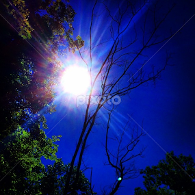 If I had to imagine that we lived in a bubble, and outside of it was pure white light, then this is what a break would look like, and I would praythat no one ever fix it.~ Brygida by Bridget Wegrzyn - Novices Only Landscapes