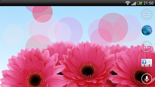 【免費個人化App】Flowers Live Wallpaper-APP點子