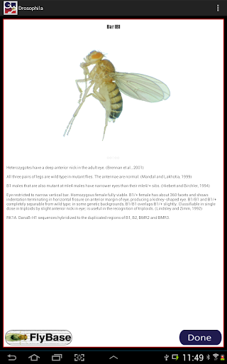 【免費教育App】Drosophila-APP點子