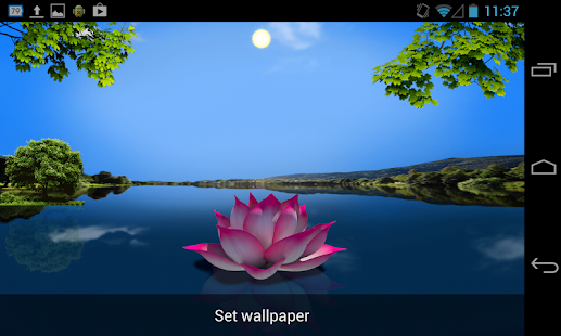 download Exotic Lotus HD Live wallpaper free