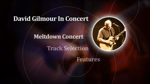 David Gilmour in Concert