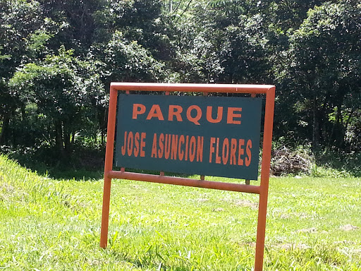 Parque José Asunción Flores