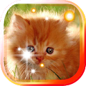 Kitty Gallery HD LiveWallpaper icon